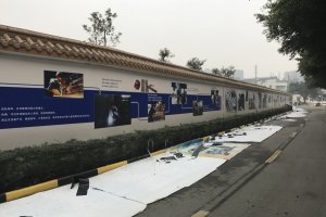 主题文化墙设计制作