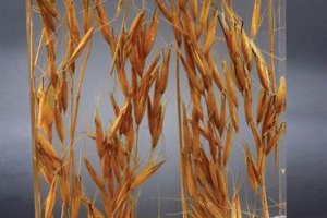 什么是亚克力质料？？？？？亚克力质料的优点是什么？？？？？