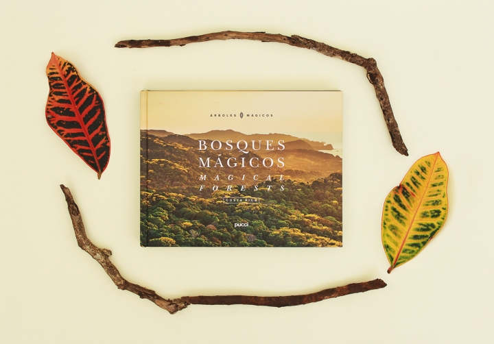 怎样凭证市场反响和客户需求举行一连的企业画册印刷制作优化和刷新