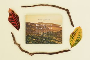 怎样选择适合企业画册印刷制作的纸张和材质